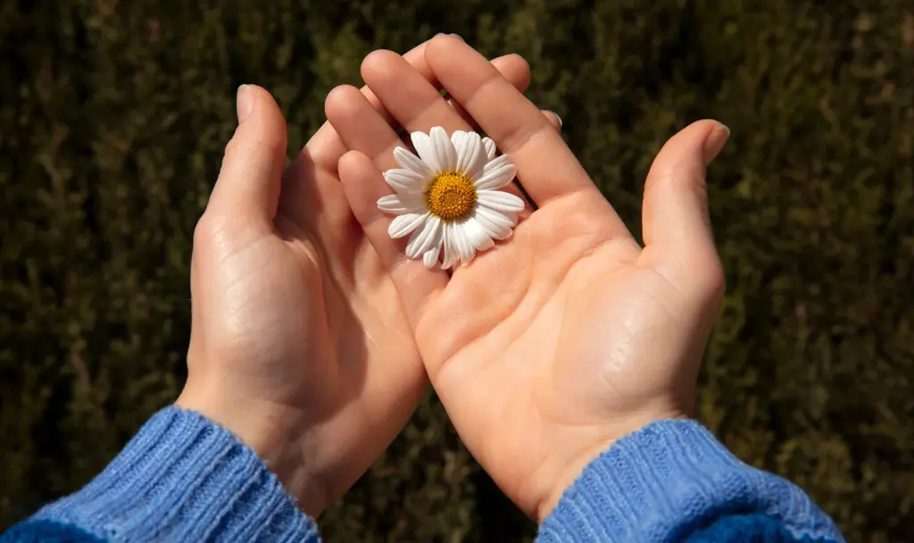 Faith in Action: How Churches Serve Communities in Crisis